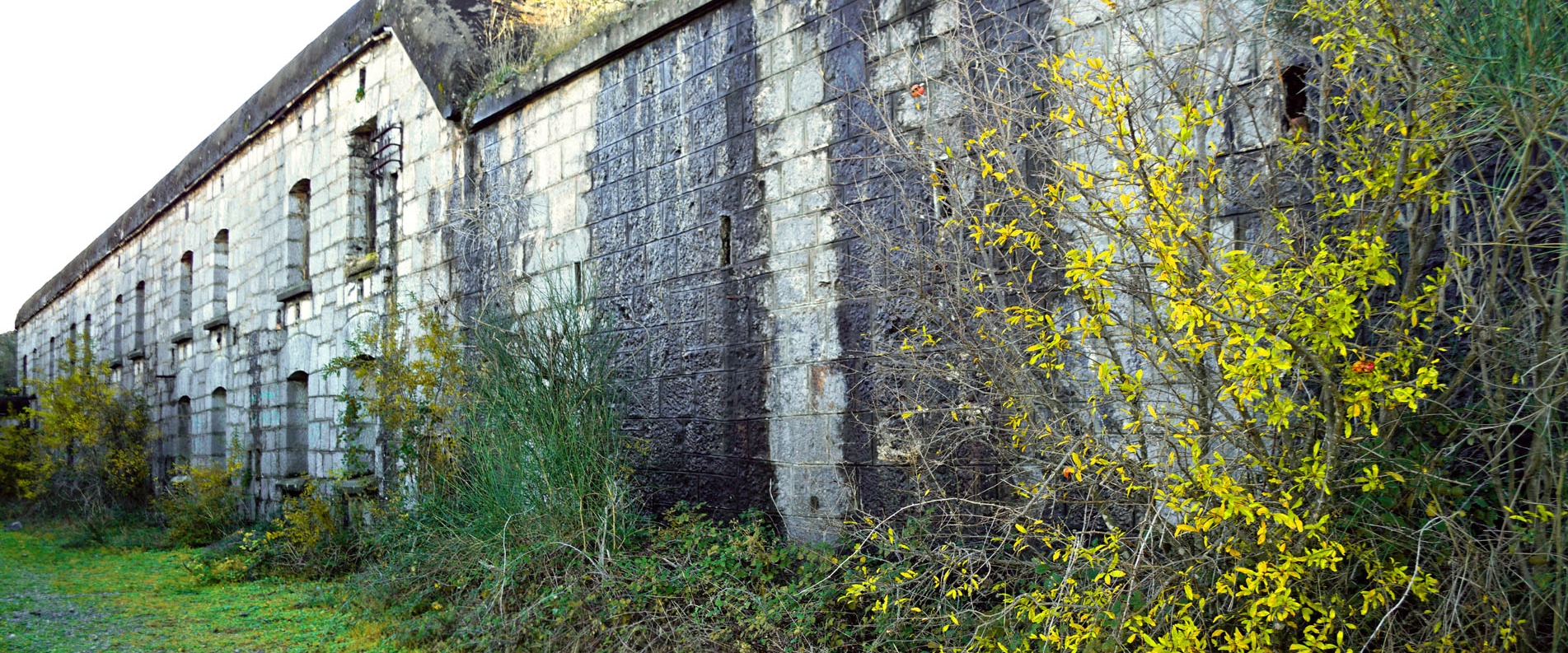 Fort Trašte