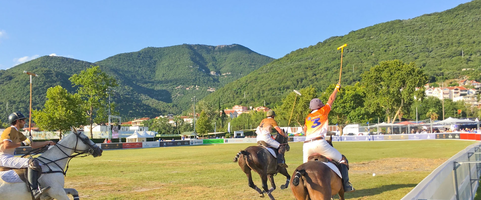 Polo in the Port