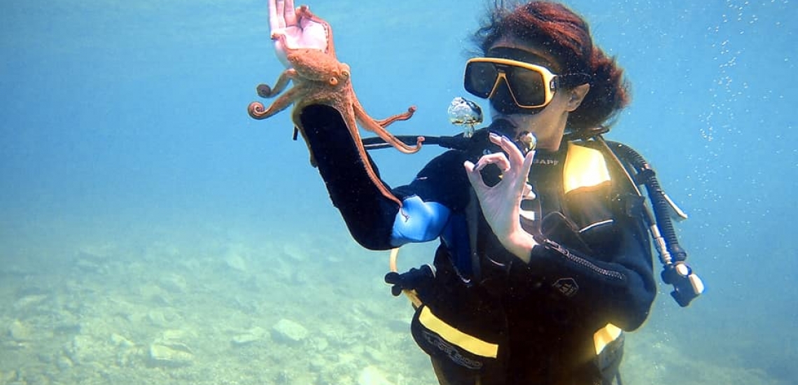 Petrovac Diving Center