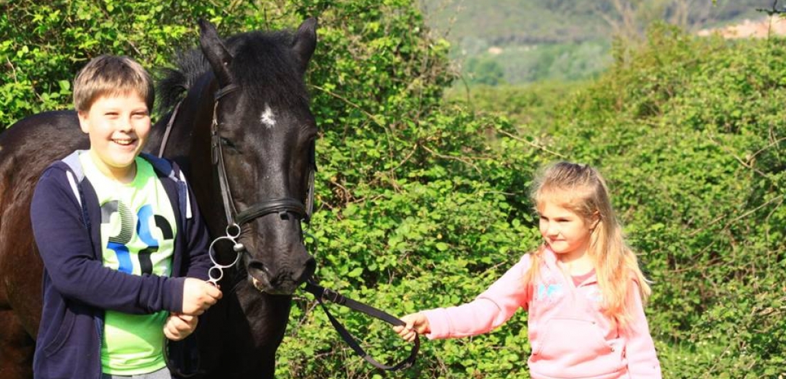 Konjicki Centar Budva, horse Center Budva